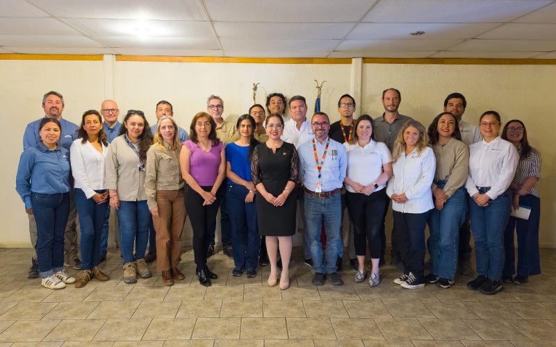 Quinta sesión del Comité Estratégico Minero dejó avances en definición de metas y compromisos territoriales