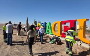 Funcionarios municipales participaron de campaña de forestación en la comuna