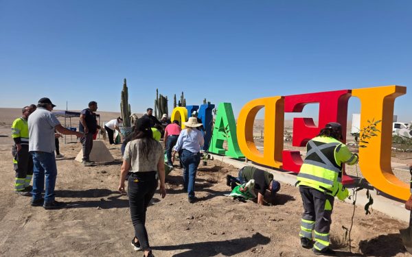 Funcionarios municipales participaron de campaña de forestación en la comuna